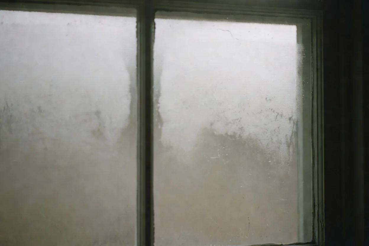 Foggy Between the Panes: Failed Seals and Your Real Repair Options